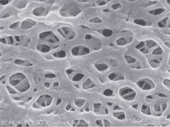 銅陵晶能電鏡*10w