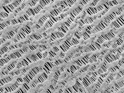 東航光電 PVDF涂覆鋰離子電池隔膜