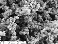 逢源鋰電 鋰電正極材料 容量型磷酸鐵鋰圖1