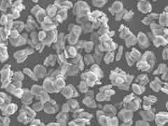 杉杉 復合石墨圖3