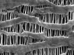 義騰新能源 高倍率微孔單層隔膜圖3