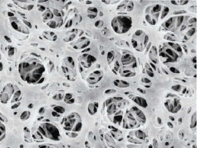 藍科途 鋰離子電池隔膜 芳綸涂覆隔膜