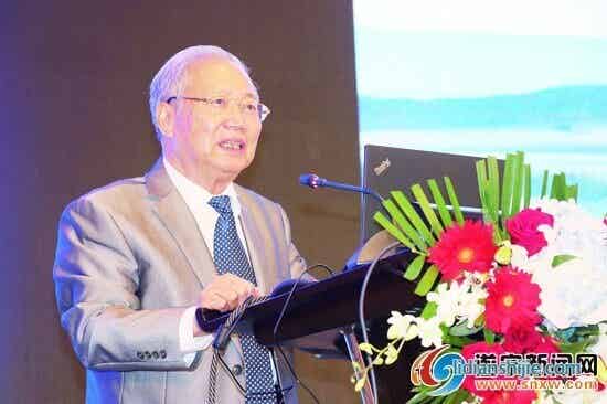 中國工程院院士鄭綿平在2019鋰業大會