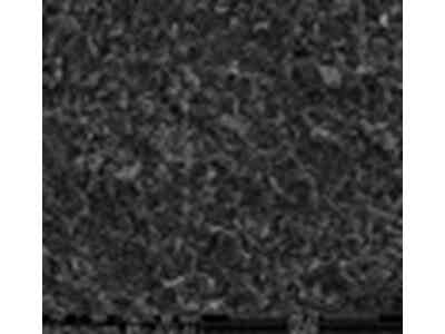 國遠新材料 鋰電池負極材料F4-2-15