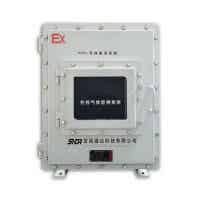 SNDR VOC在線監測系統（防爆）