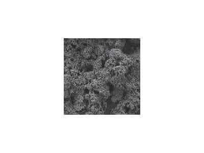 璞泰來 陶瓷+PVDF涂層