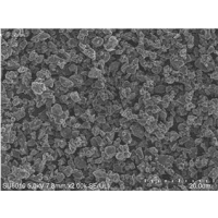 德方納米補鋰增強劑（LFO）