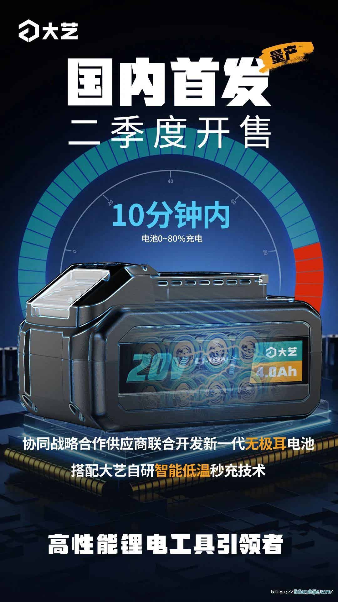 大藝科技無極耳電池包