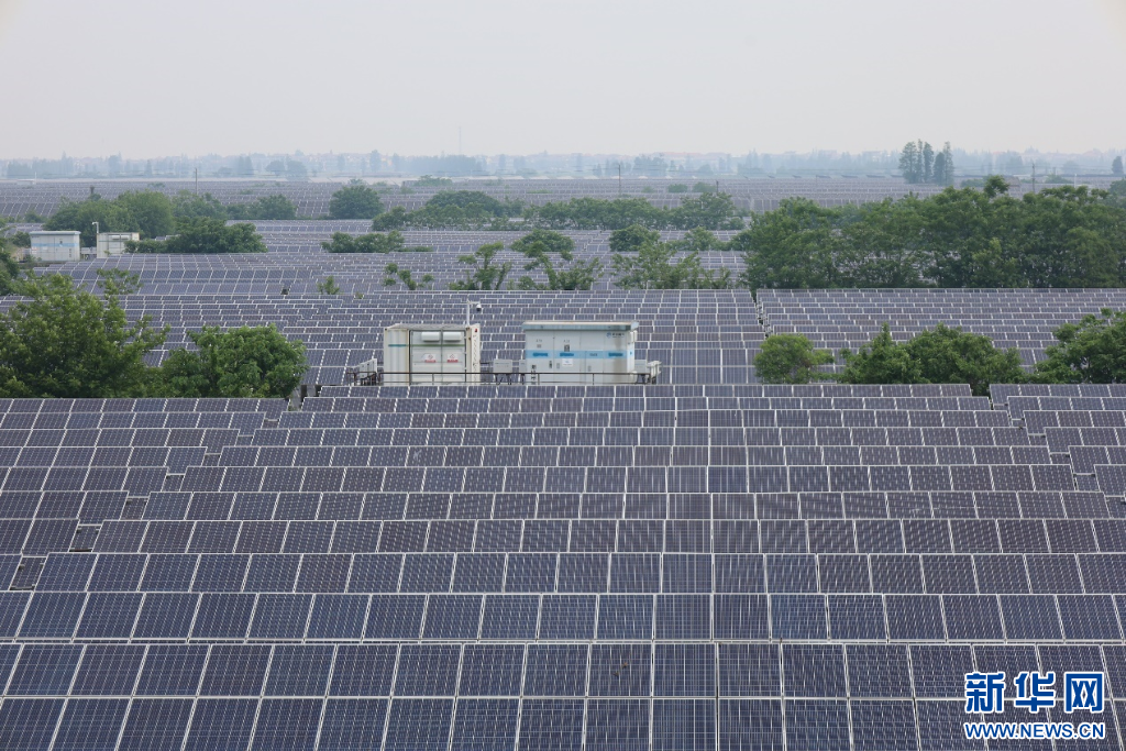 江西省南昌縣蔣巷鎮(zhèn)三洞湖光伏發(fā)電項(xiàng)目。新華網(wǎng) 王曉震 攝